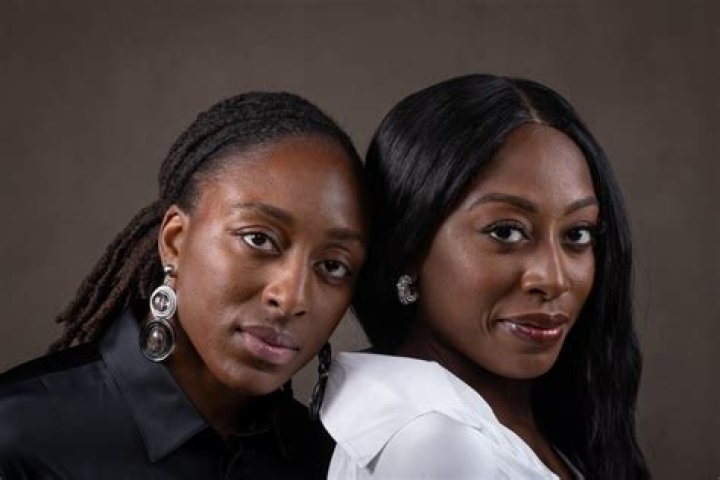 Nneka Ogwumike's Marital Status: Uncovering The Truth