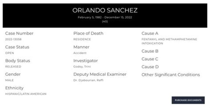 The Orlando BJJ Death And Lessons For Safety