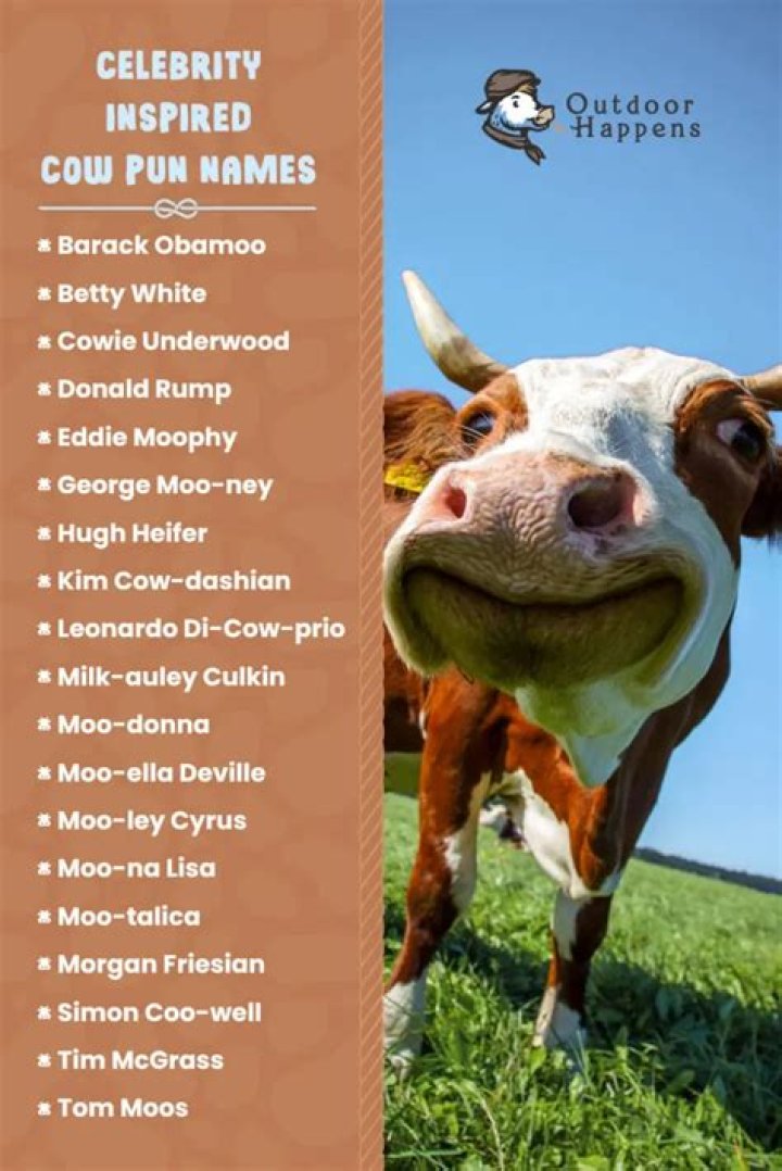 Pun Cow Names